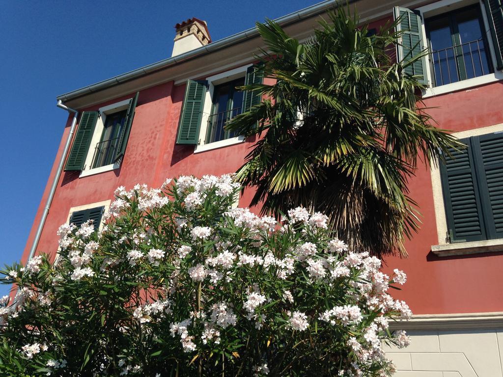 Rovinj's Flowers * Rovinj