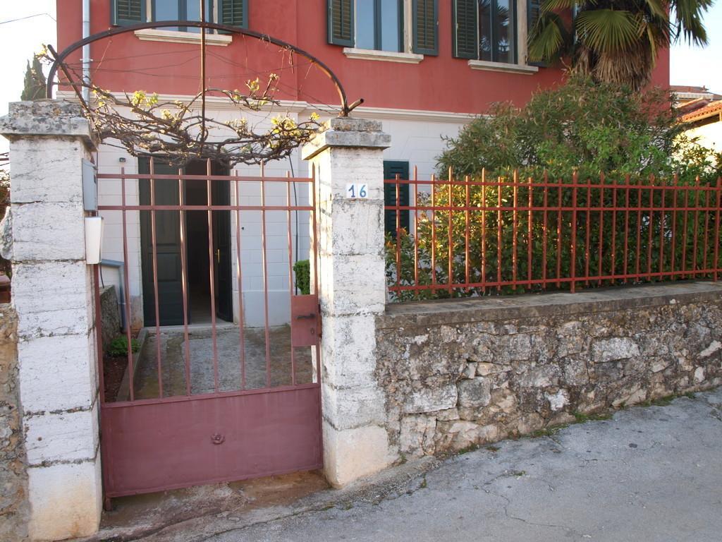 Rovinj's Flowers