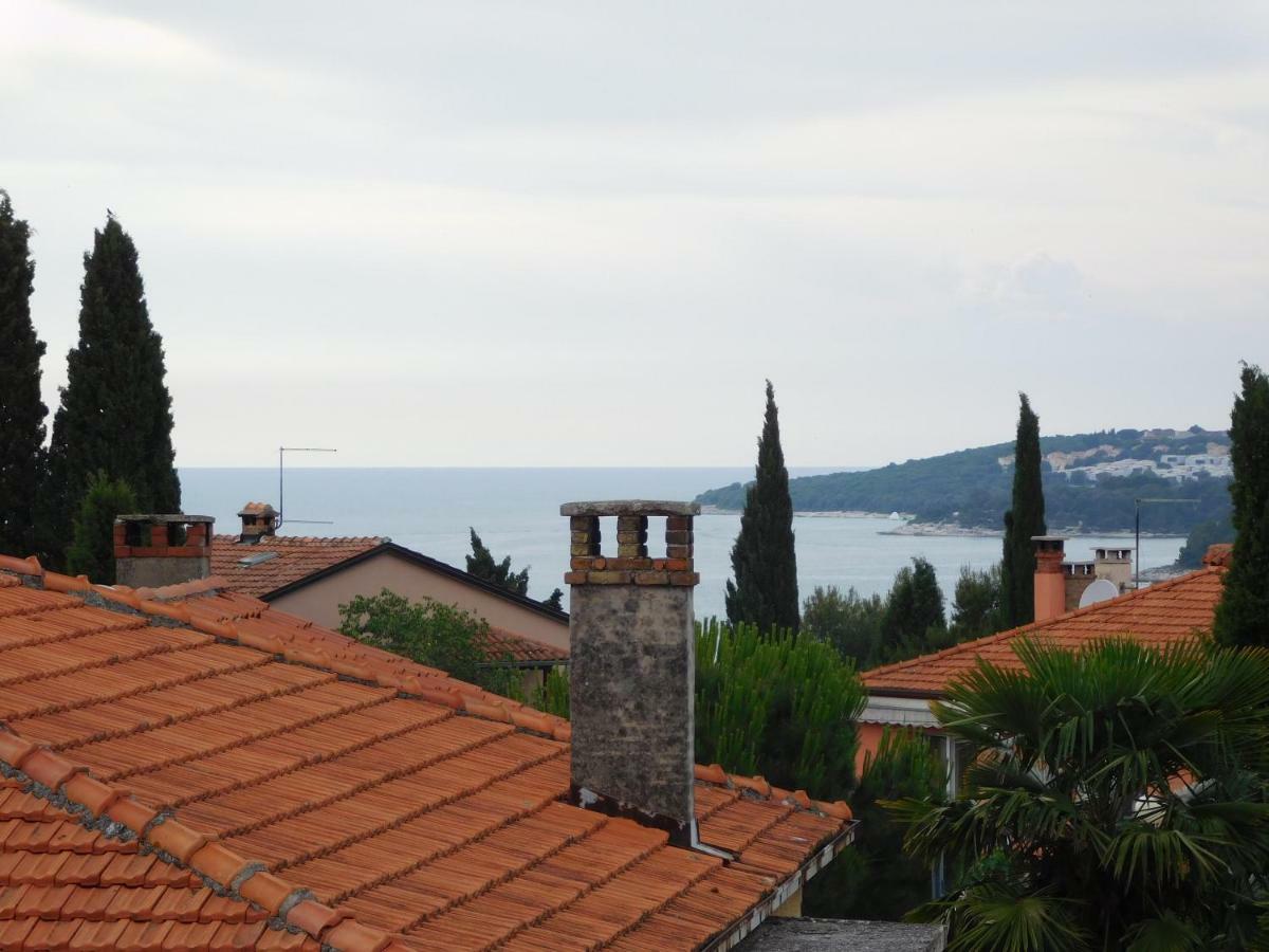 Rovinj's Flowers *